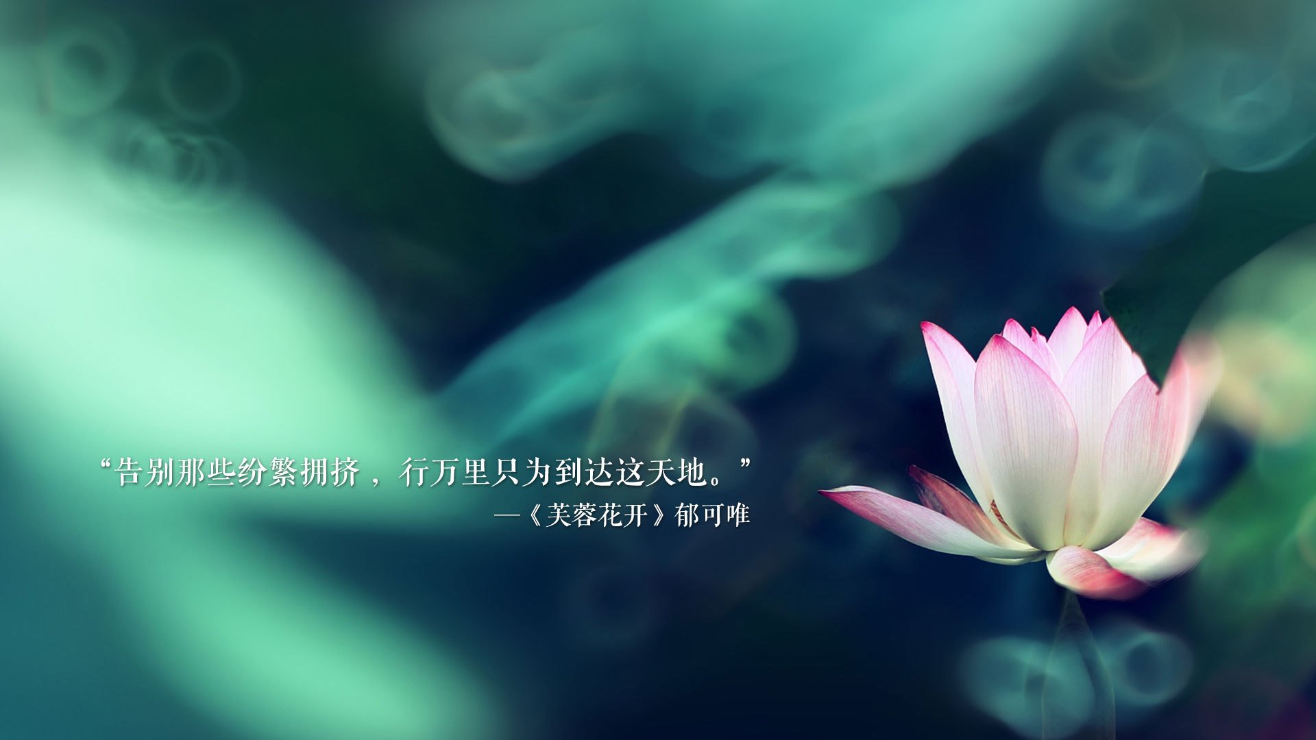 AYX体育官网-国米主场艰难战胜对手，波尔蒂亚诺神勇发挥，意甲国米vs博洛尼亚