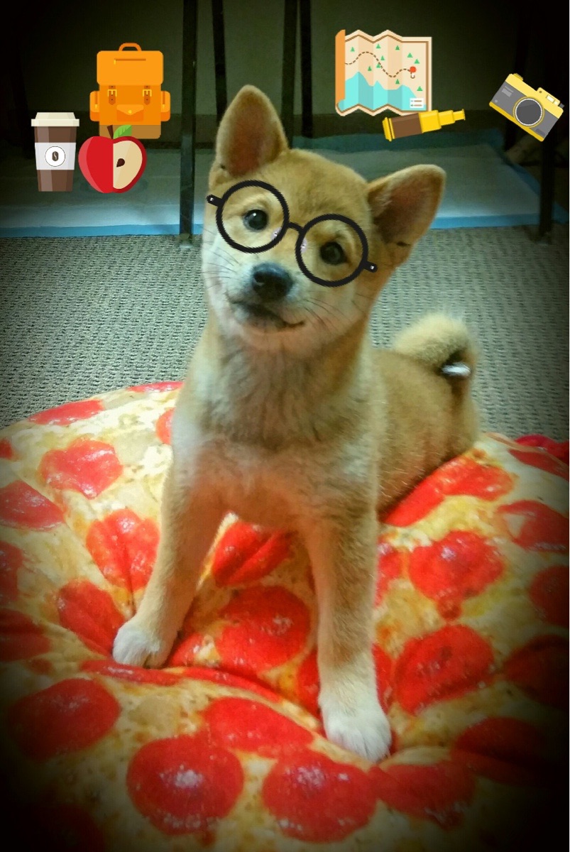 爱游戏综合娱乐-科特迪瓦男篮在非洲锦标赛中扬眉吐气，刷新历史纪录，科特迪瓦男子足球队