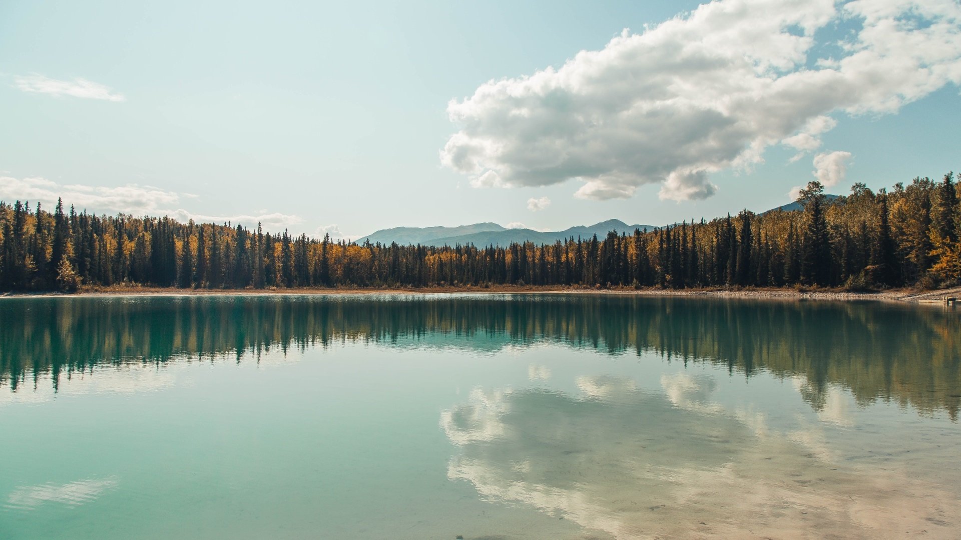 爱游戏体育app-“高新体育中心沙滩排球：选手拼尽全力，冠军悬念重重”