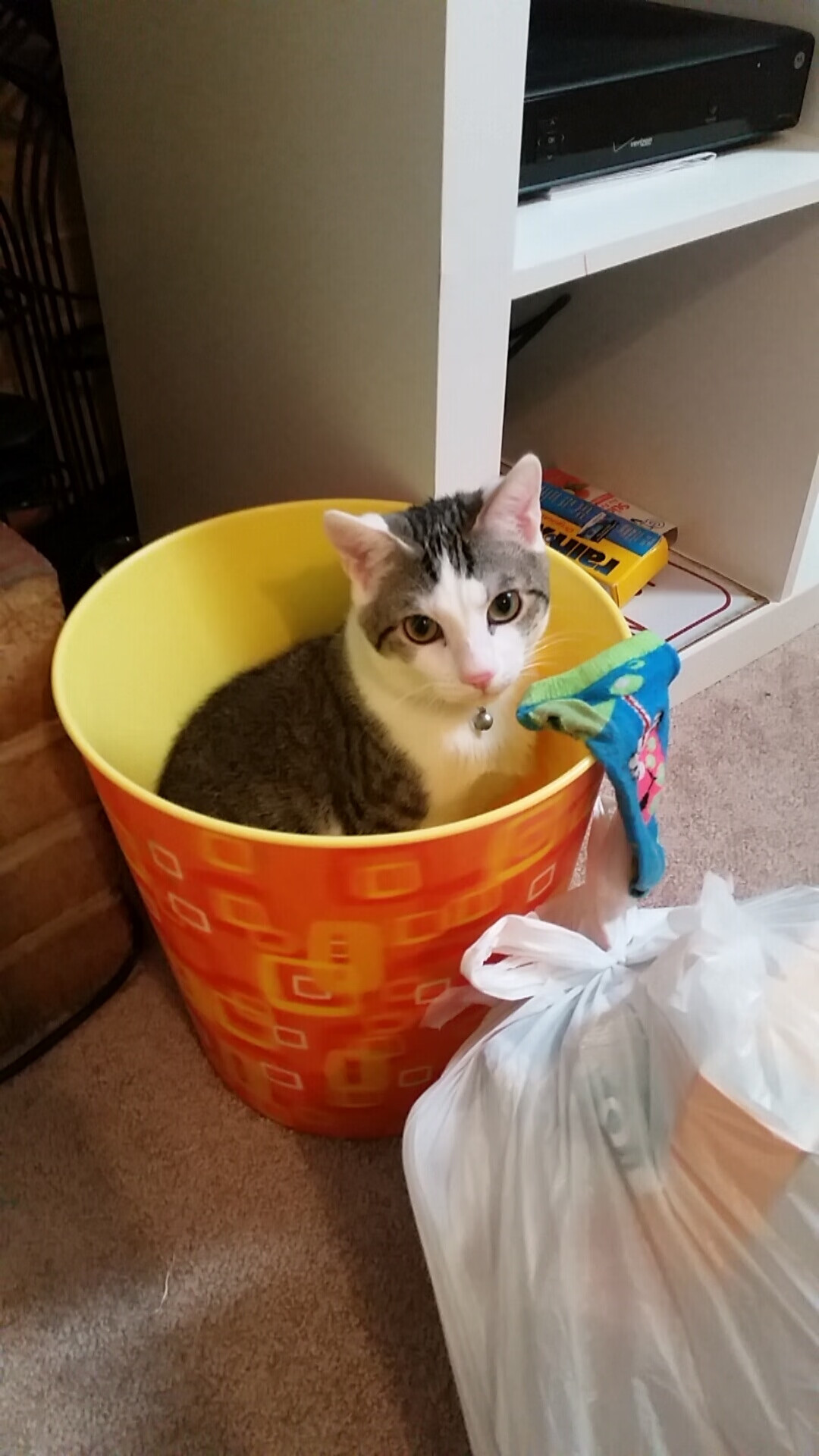 爱游戏在线登录入口-英超激烈角逐：每场都刻划着冠军的轨迹，英超最精彩比赛