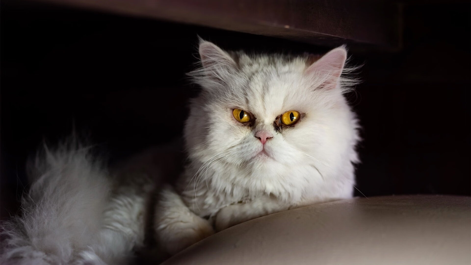 爱游戏体育-足球题材电影票房火爆，电视剧持续热播，足球影视作品