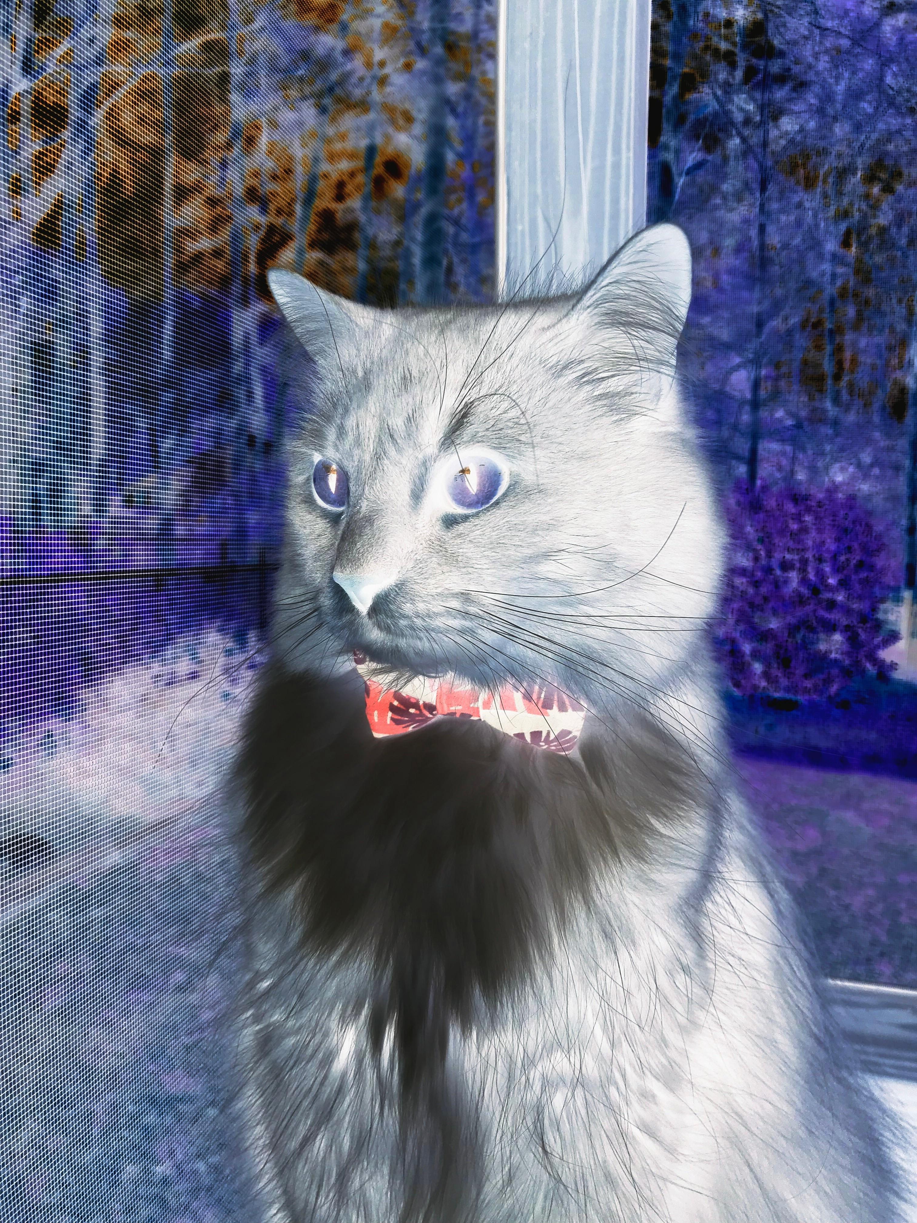 -亚冠联赛国足战平 球员心理承受能力备受考验,亚冠中国足球