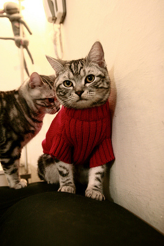 爱游戏体育APP下载-俱乐部财务危机对联赛的长期影响,俱乐部公开财务